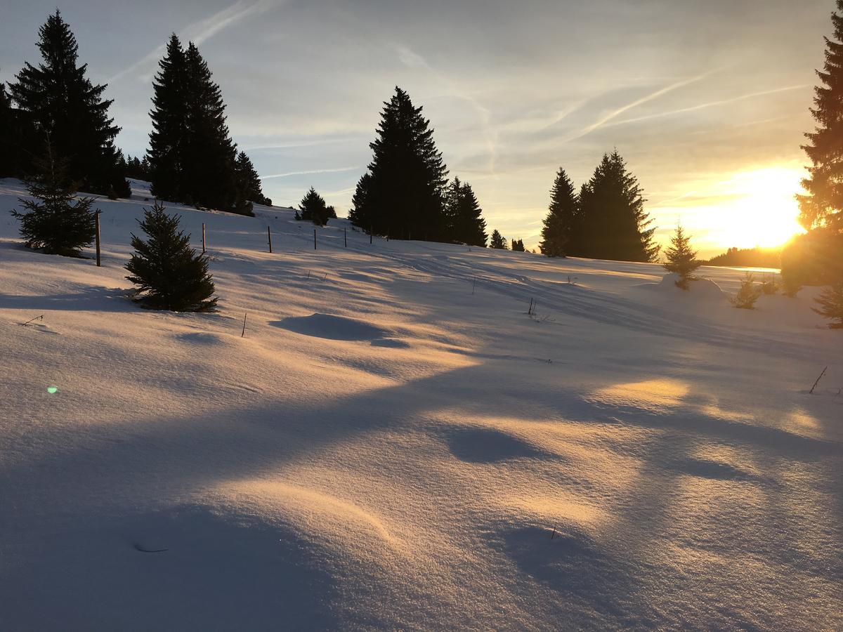 Schwarzwald-Hotel Kraeutle Feldberg  Exteriér fotografie